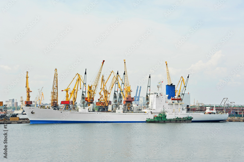 Bulk cargo ship under port crane