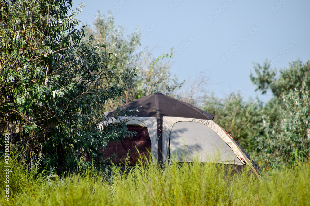 Tourist tent under a tree. Tourist Camping. Multi-Tent