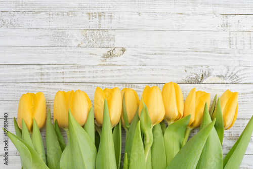 Fototapeta Naklejka Na Ścianę i Meble -  Yellow tulips over wooden background