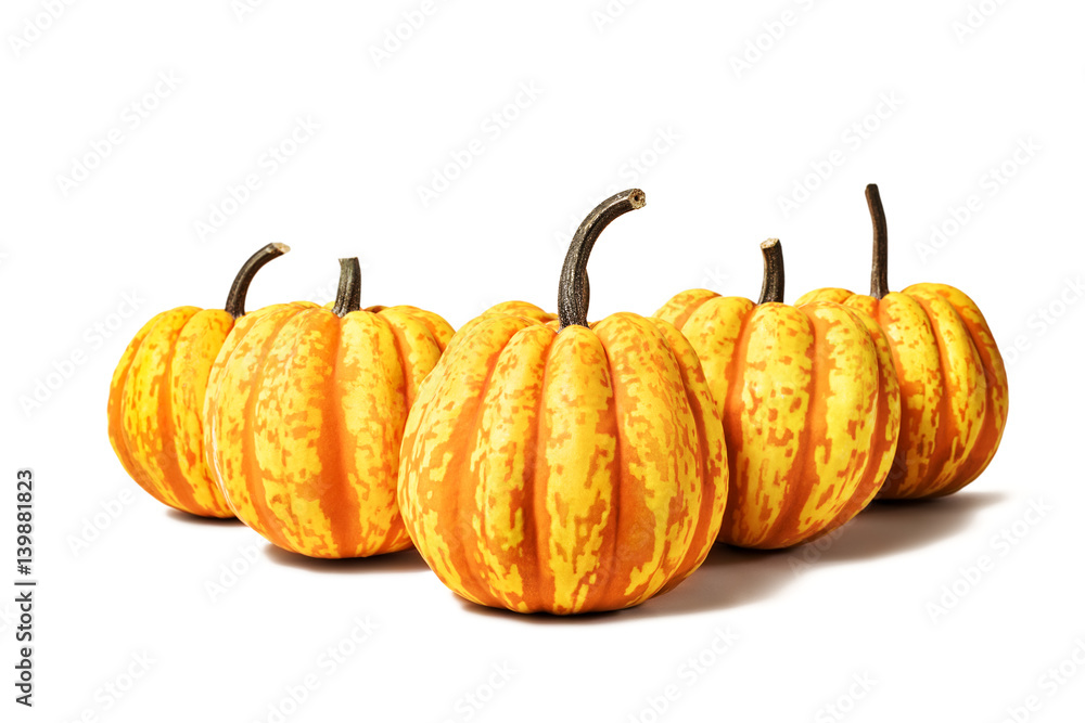 Fototapeta premium Five pumpkins