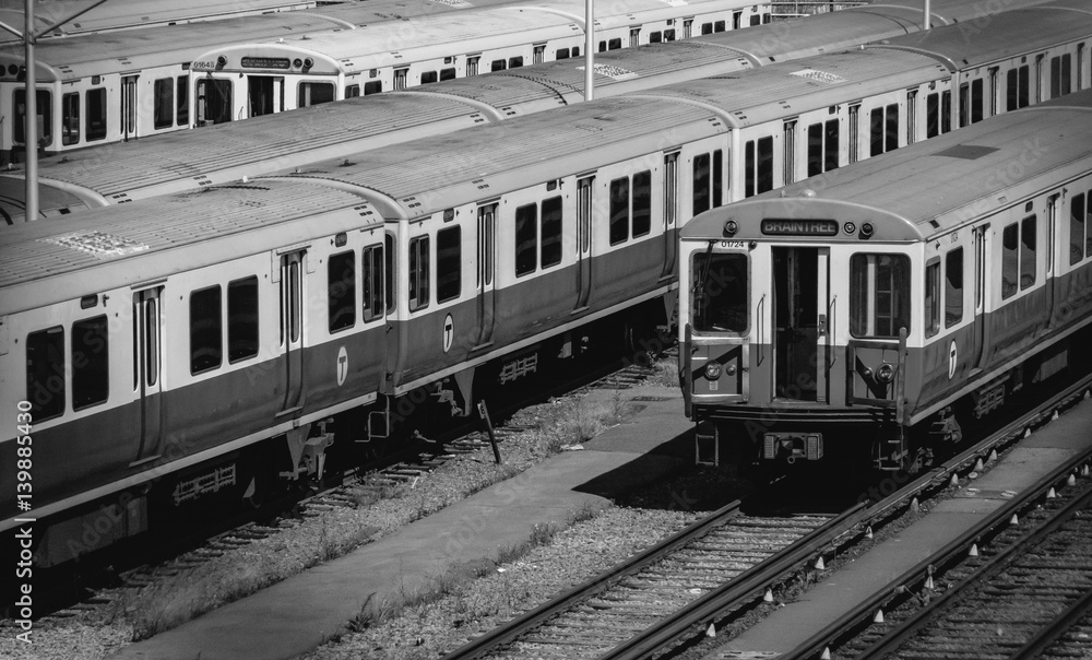 Fototapeta premium Red Line 2