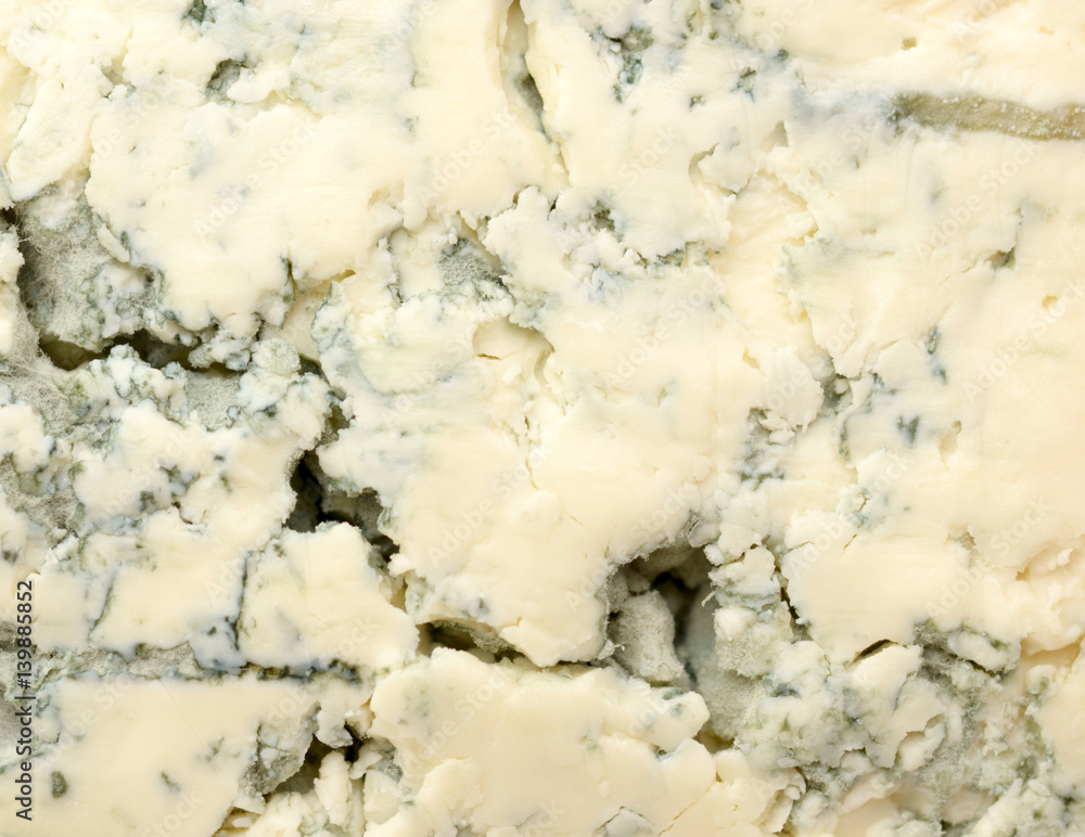 Fototapeta premium cheese