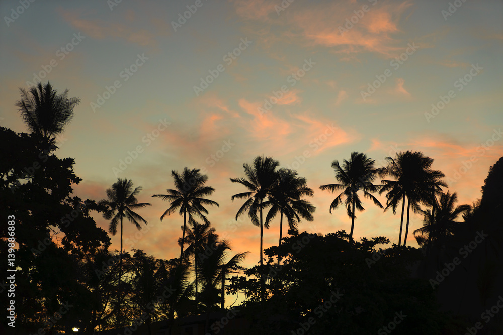 Fototapeta Silhouette coconut trees on beach at sunset.
