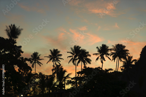 Silhouette coconut trees on beach at sunset.
