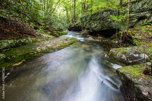 Stream Flowing Through Forest