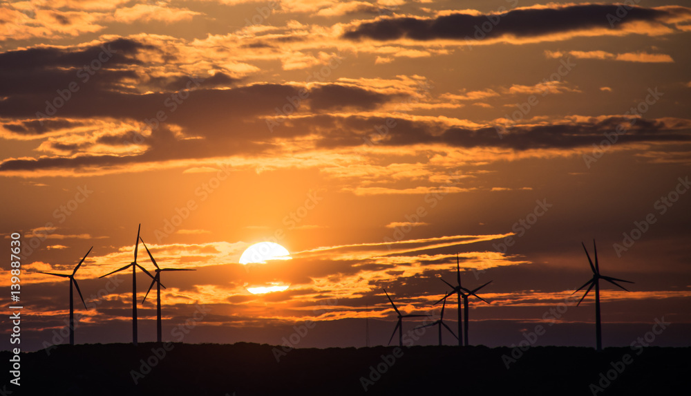Obraz premium sunset windmills