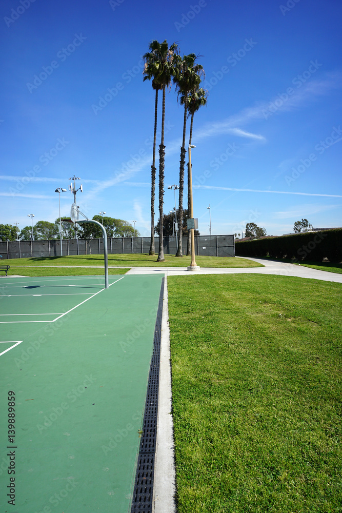 palm trees at public park with basketball courts