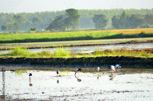 The beautiful landscape of ...