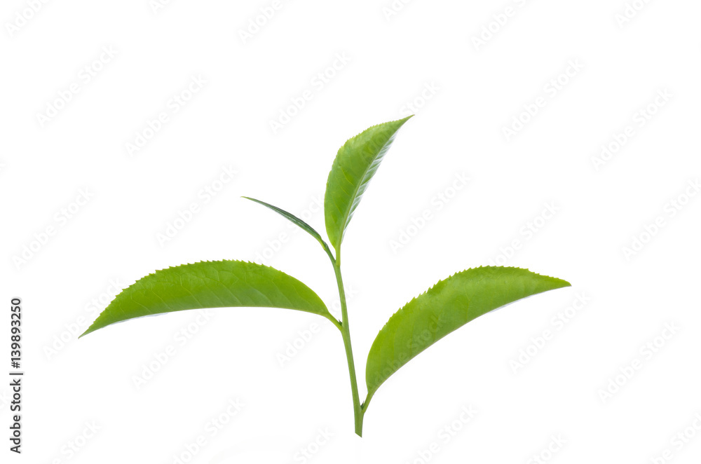 tea leaves on white background