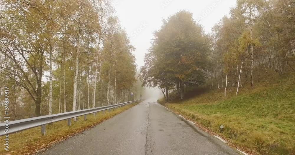 Walking outdoor along road near birch trees in woods forest with bad weather overcast day. 4k POV forward nature shot Walking outdoor along road near birch trees in woods forest with bad weather overcast day. 4k POV forward nature shot