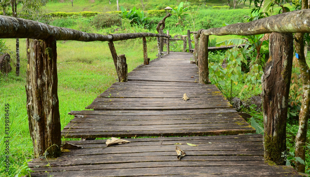 Fototapeta premium Boardwalk Through The Forest