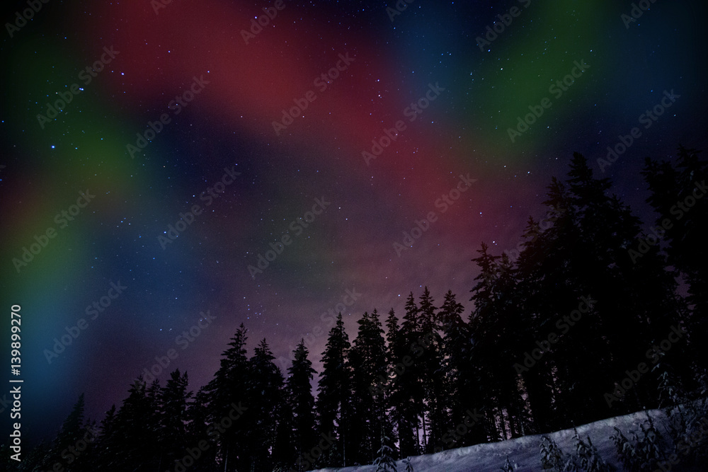 landscape landscape