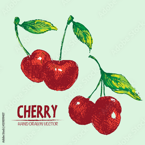 Digital vector detailed color cherry hand drawn retro illustration collection set. Thin artistic linear pencil outline. Vintage ink flat style, engraved simple doodle sketches. Isolated objects