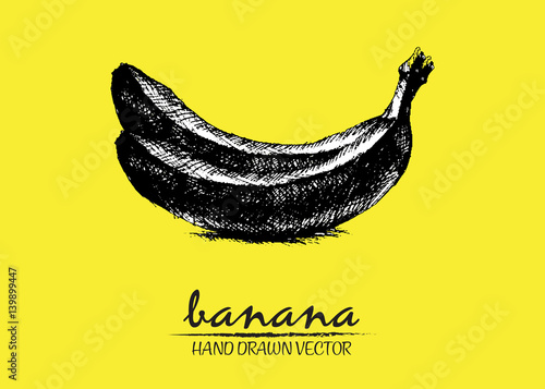 Digital vector detailed banana hand drawn retro illustration collection set. Thin artistic linear pencil outline. Vintage ink flat style, engraved simple doodle sketches. Isolated objects