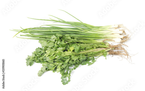 Fresh coriander and onion herb on white background © chokniti