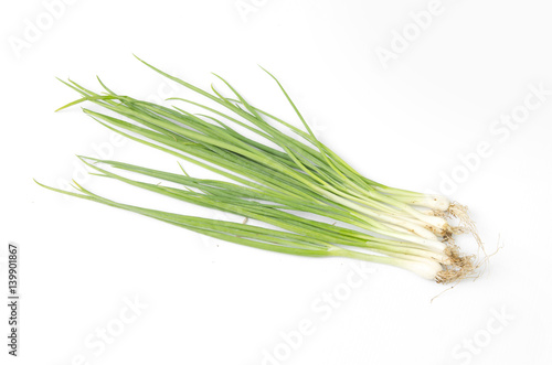 Fresh coriander and onion herb on white background