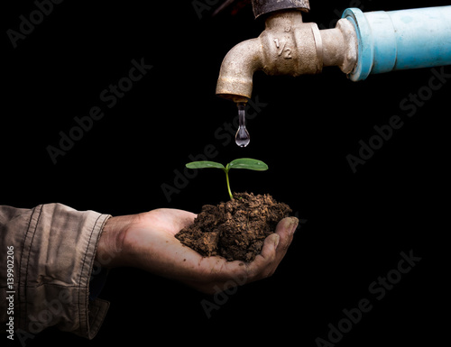 Ecology concept senior man holding young spring plant in hands. old rusty tap leaking water isolate on black background photo