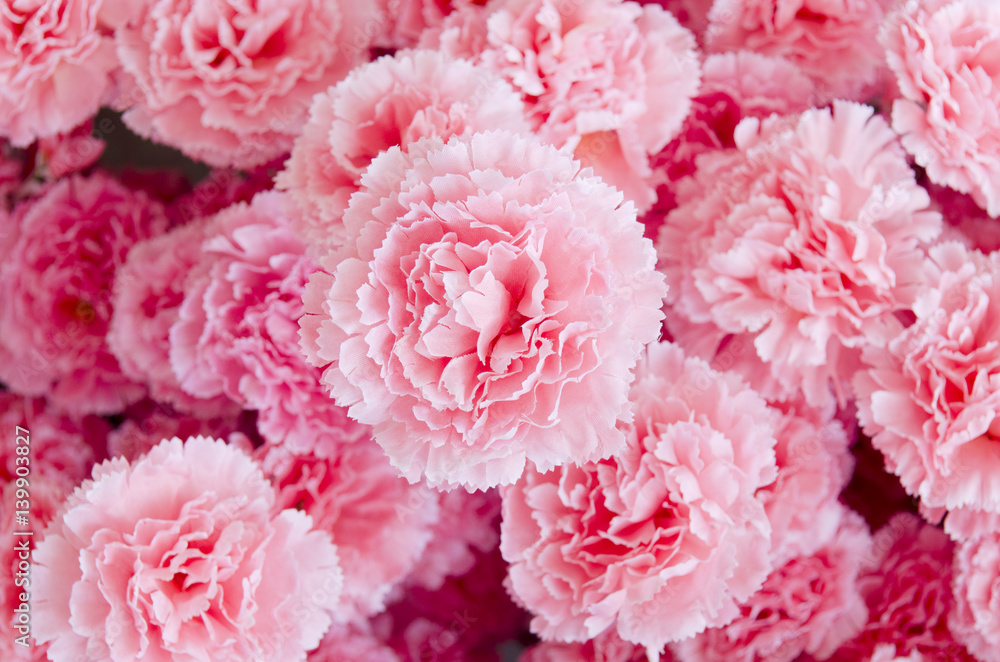 Beautiful colorful flowers Beautiful colorful flowers