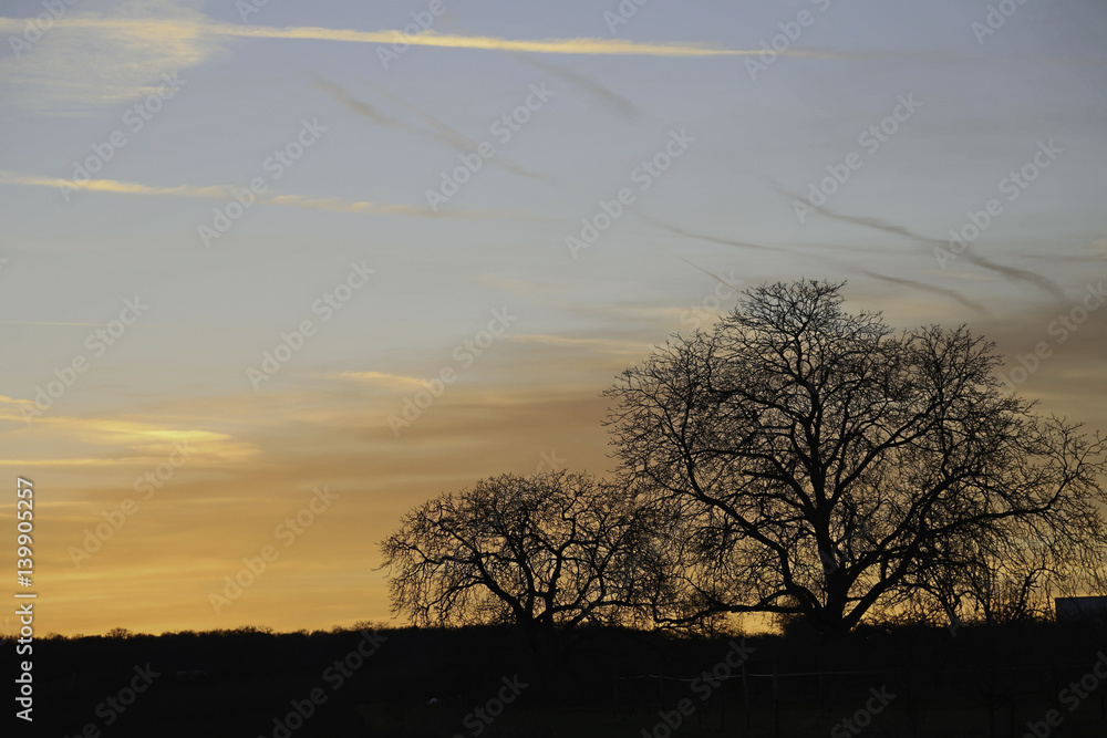 Abendstimmung in den Feldern Rheinhessens Abendstimmung in den Feldern Rheinhessens
