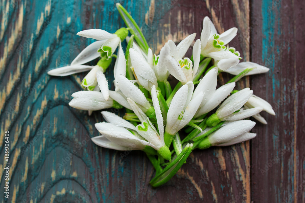 Heart of white snowdrops on blue and brown wooden background Heart of white snowdrops on blue and brown wooden background