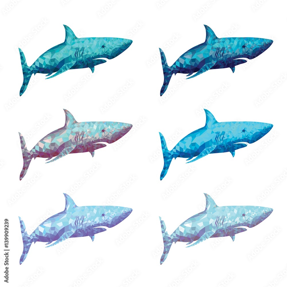 Fototapeta premium Polygonal Shark Vector Illustration