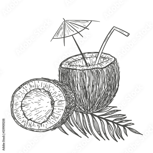 Vector hand drawn coconut with leaves and umbrella. Natural tropical food in engraved vintage style illustration. Isolated of white background.