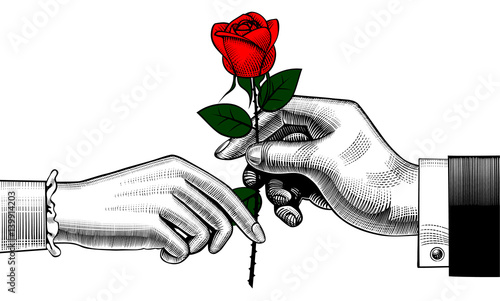 Hand of man give a red rose to woman
