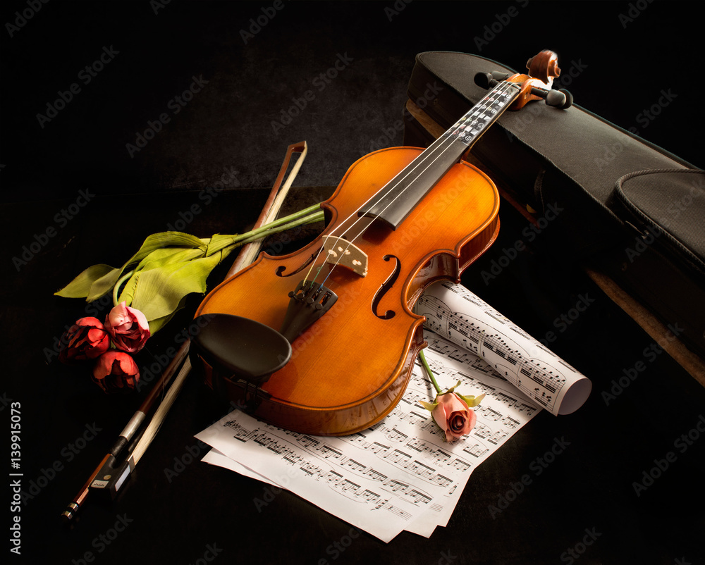 Fototapeta premium Violin love