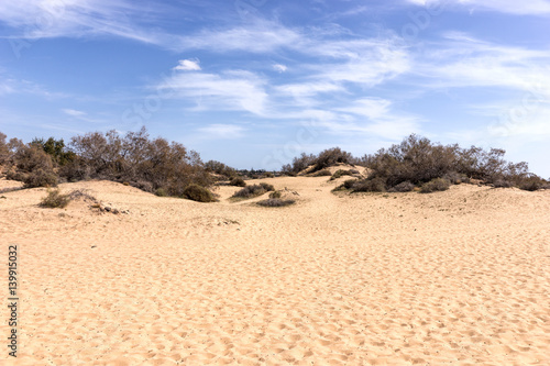 Nature reserve Dunes of Maspalomas, Gran Canaria island