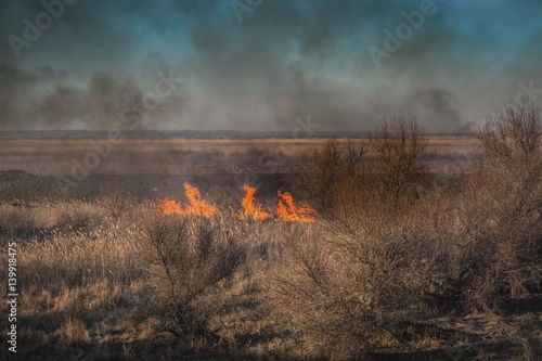 Strong prairie fire with large clouds of choking smoke erupted in southern steppe. Ecological catastrophe.  © kolidzei