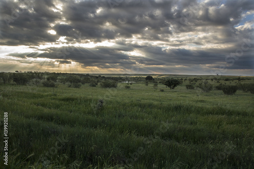 landscape © Fabrizio Moglia