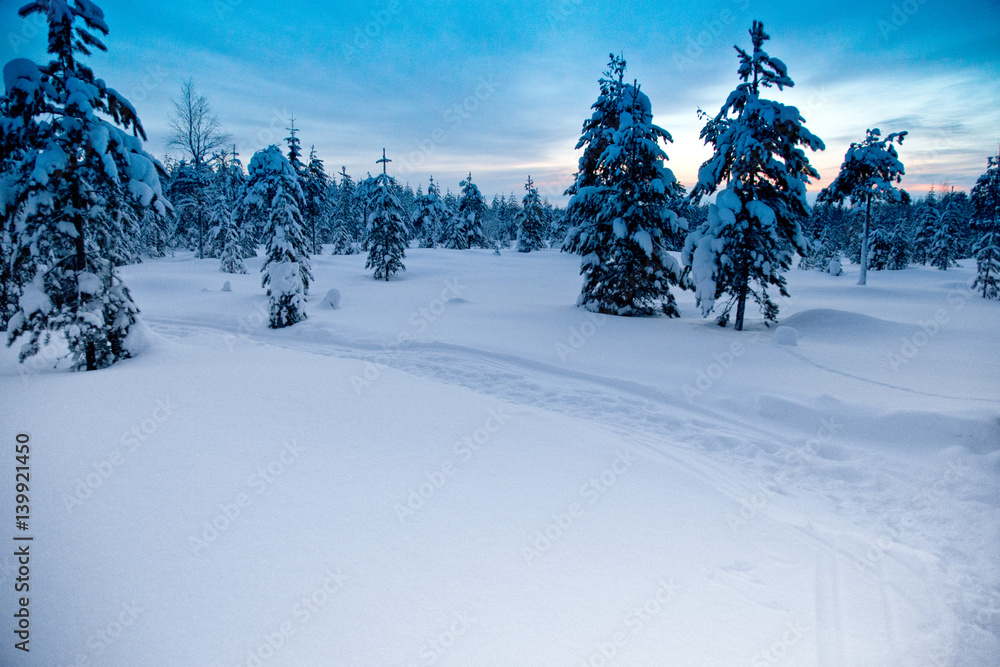 Fototapeta premium landscape