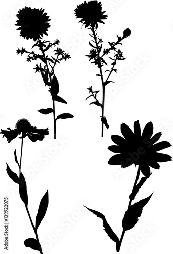 set of four garden black flower silhouettes on white