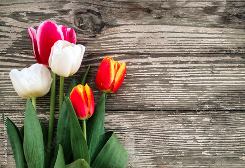 Fototapeta Naklejka Na Ścianę i Meble -  Tulips bunch on dark barn wood planks background