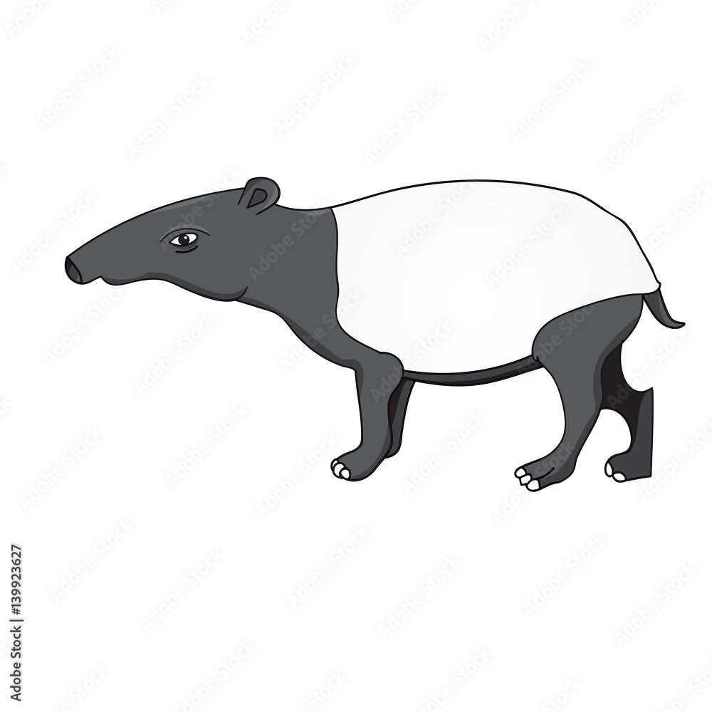 Obraz premium Tapir animal stands sideways isolated.