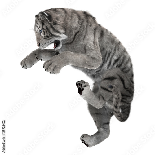 Fototapeta Naklejka Na Ścianę i Meble -  3D Rendering White Tiger on White