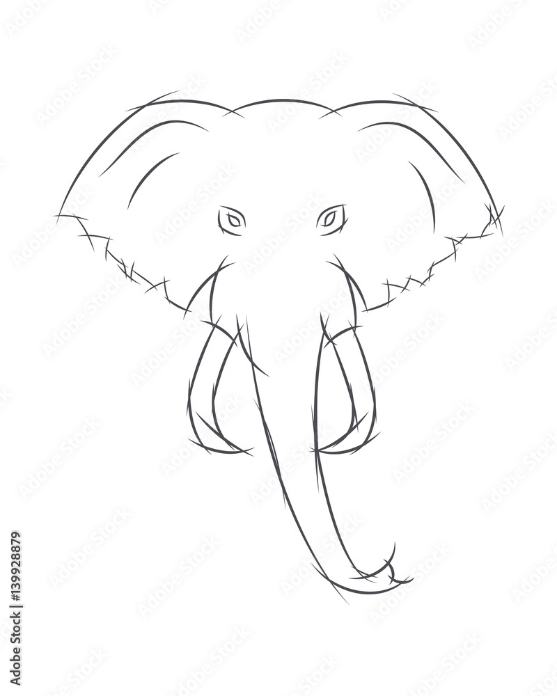 Elephant Front View Illustration Greyscale Black Stock Illustration  300341030  Shutterstock