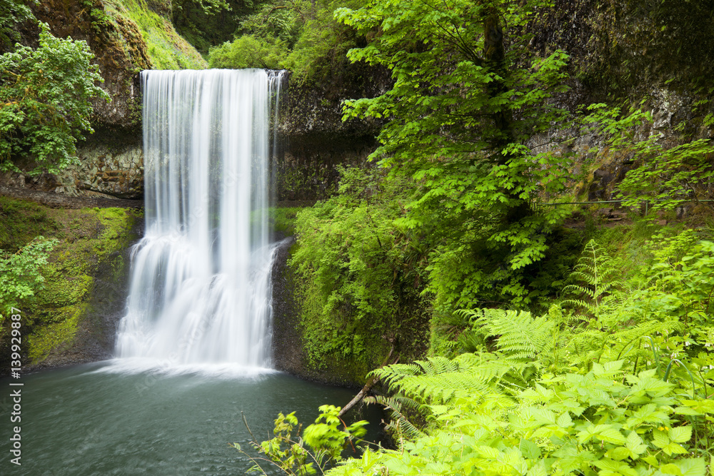 Fototapeta Lower South Falls, Silver Falls State Park, Oregon, USA