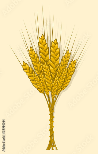 Ears of wheat, barley or rye are woven into one bundle