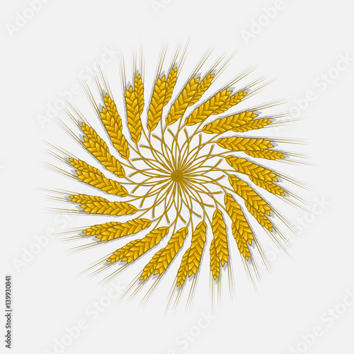 Ears of wheat, barley or rye are woven into one bundle