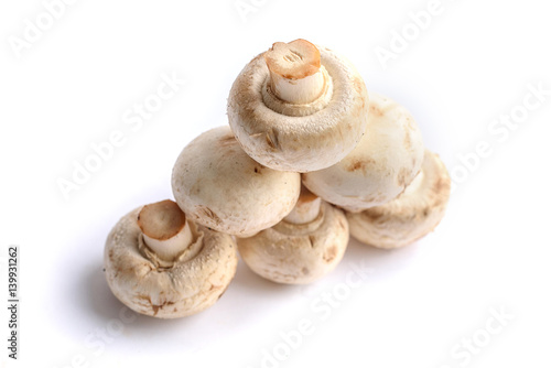 White mushrooms on white background