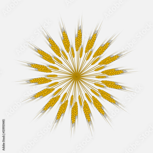 Ears of wheat, barley or rye are woven into one bundle