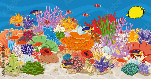 Marine reef saltwater aquarium with fish and corals. Coral reef in ocean