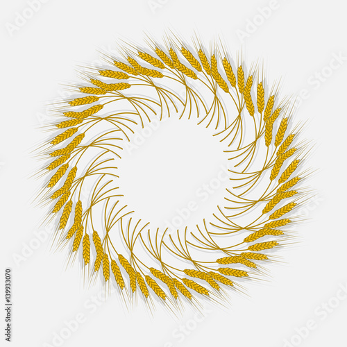 Spikes of wheat, barley or rye are woven into one bundle