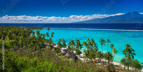 Fototapeta Naklejka Na Ścianę i Meble -  Palm trees on tropical beach of Moorea island with the view of Tahiti