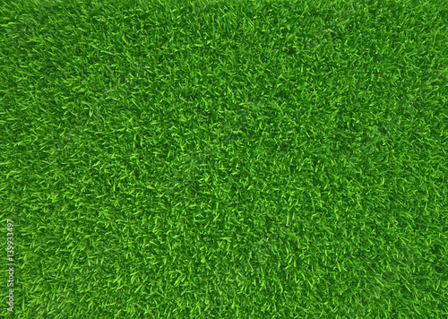 Green grass. natural background texture. fresh spring green grass. 3d rendering.