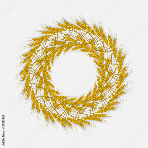 Spikes of wheat, barley or rye are woven into one bundle
