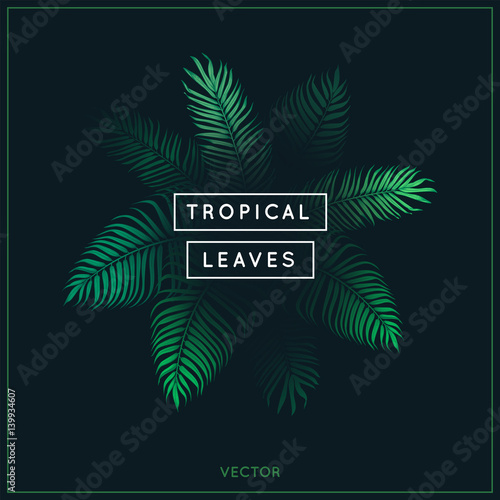 Tropical leaves. Exotic tree foliage. Green palm tree vector leaf and text on black background. Jungle theme design template for banner or poster. Vintage style frame. EPS 10.