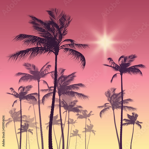 Silhouette of palm tree and sunset sky. Vector illustration © dahabians