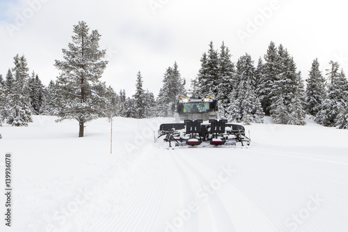 Snow groomer prepares ski cross-country route, ski track on fresh snow. Winter sport background.
